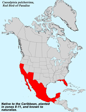 North America species range map for Red Bird-of-Paradise, Caesalpinia pulcherrima: